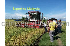 Agricultural Machinery Harvester Wheat Cutter Machine Mini Rice Reaper