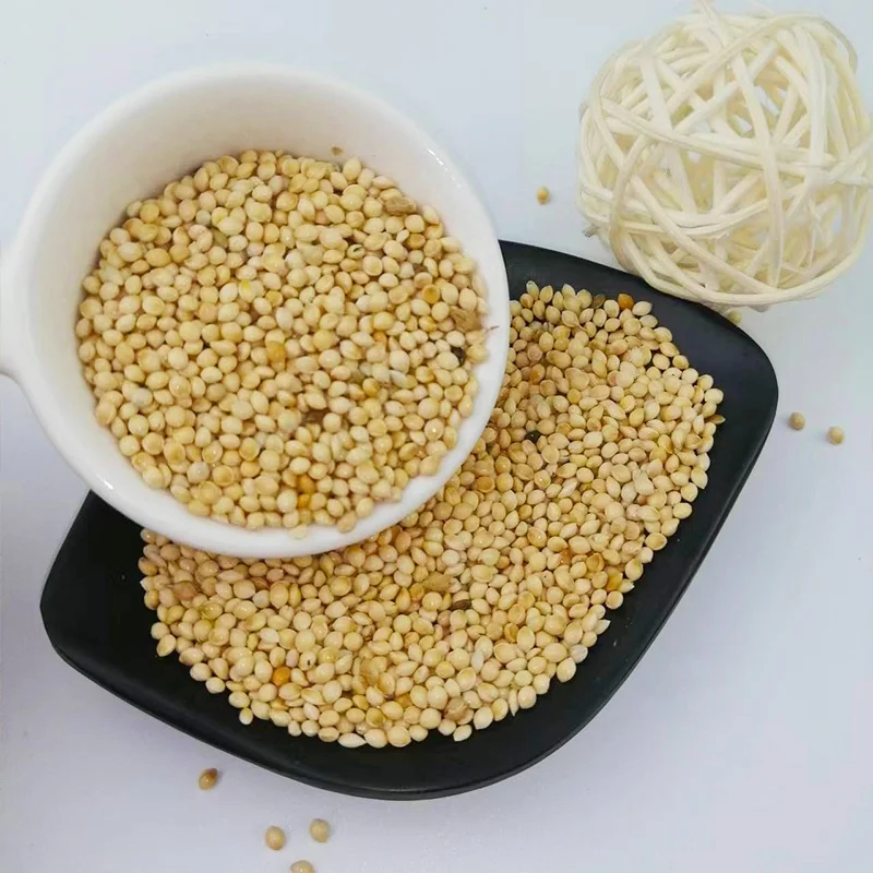 Good Quality Factory Wholesale Food Natural Birds Eat White Broom Corn Millet