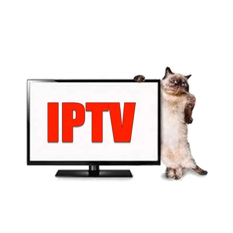 
iptv QHDTV best iptv Sub Scription VOD iptv 