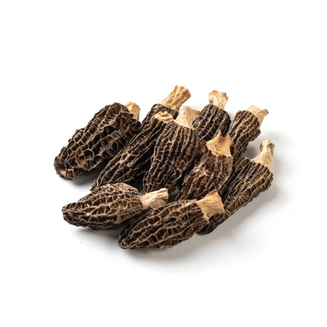 Wholesale Morel Mushrooms Buy Wild Dried Morel Mushrooms Price Morel