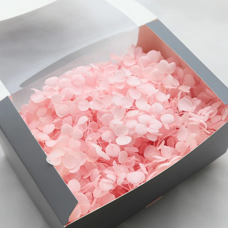Factory wholesale preserved flower real natural stabilized hydrangeas