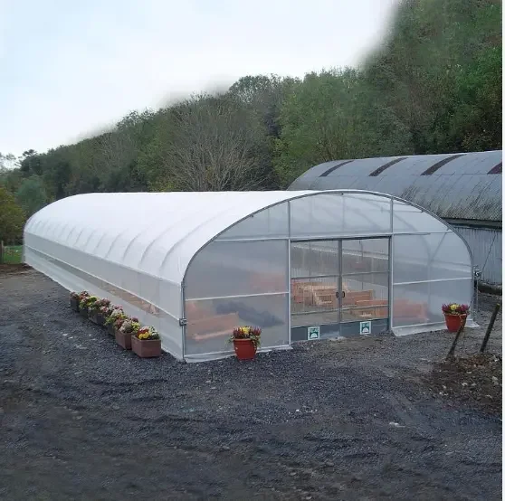 Низкая цена и удобная горячеоцинкованная теплица для разведения