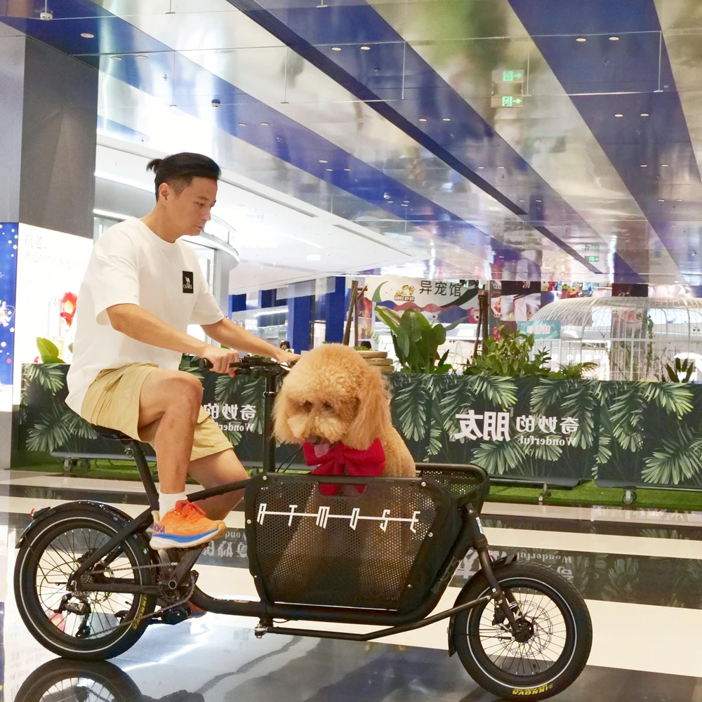 OEM ebike e-cargo family e bicycle 20 размер колес 350 Вт толстые шины Электрический грузовой велосипед ремень привод гидравлический