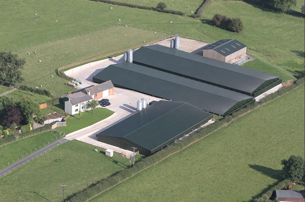 Quick Assemble Commerical Complete Controlled Poultry Shed for Chicken Farm