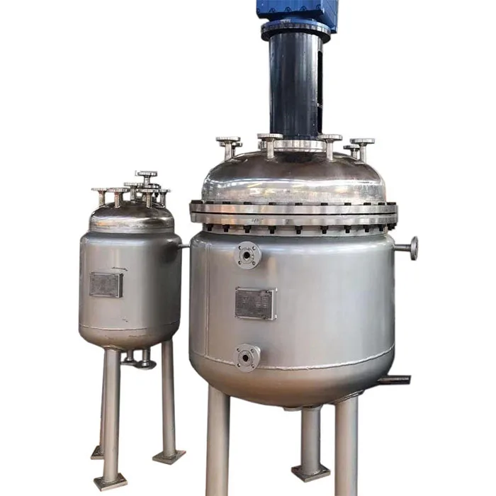 Stainless Steel Hot Sale Pharmaceutical Chemical Industry Thermo Enzyme Reactor