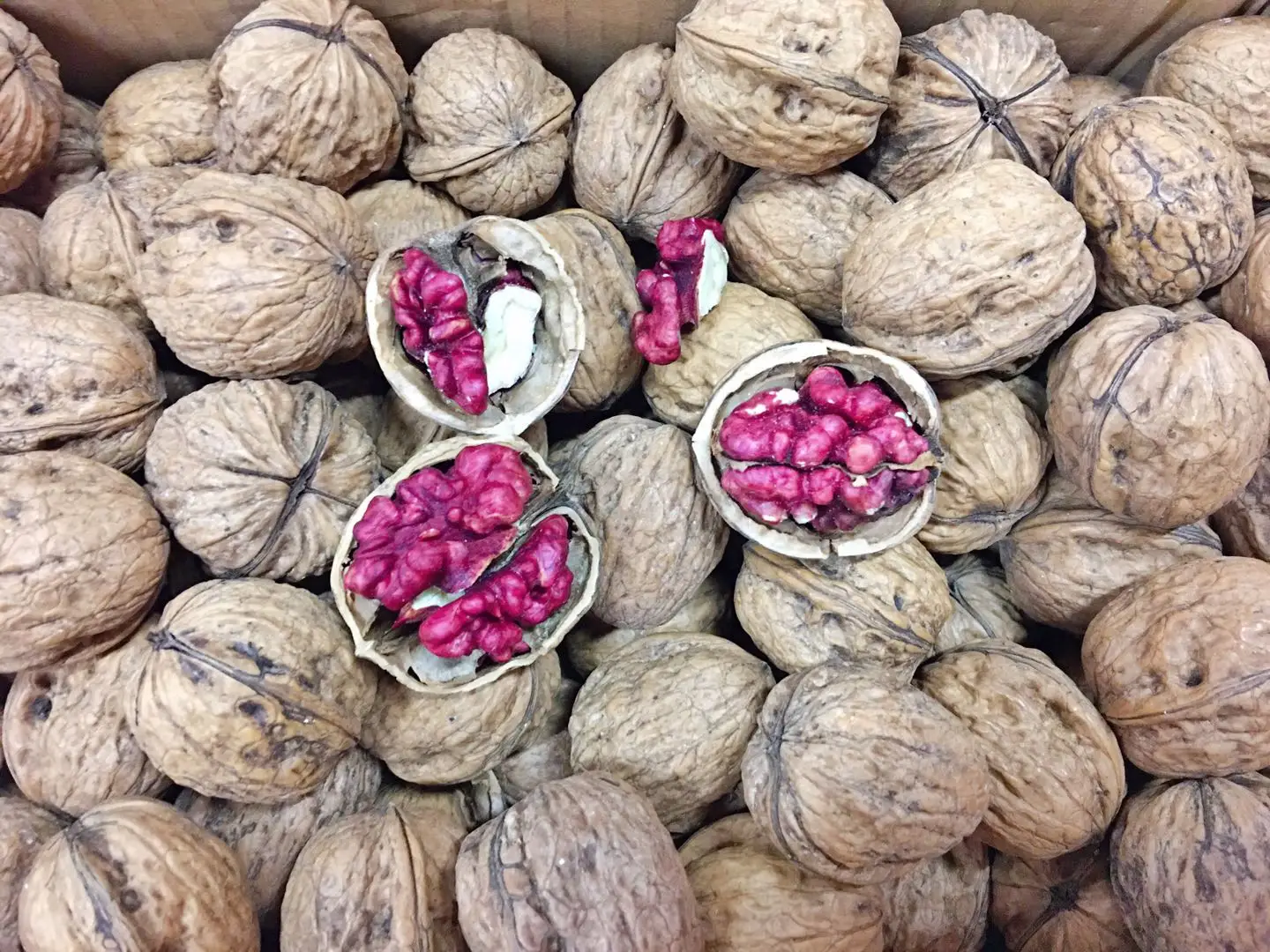 Popular sale wholesale red walnuts cost-effective Chinese red walnuts in shell