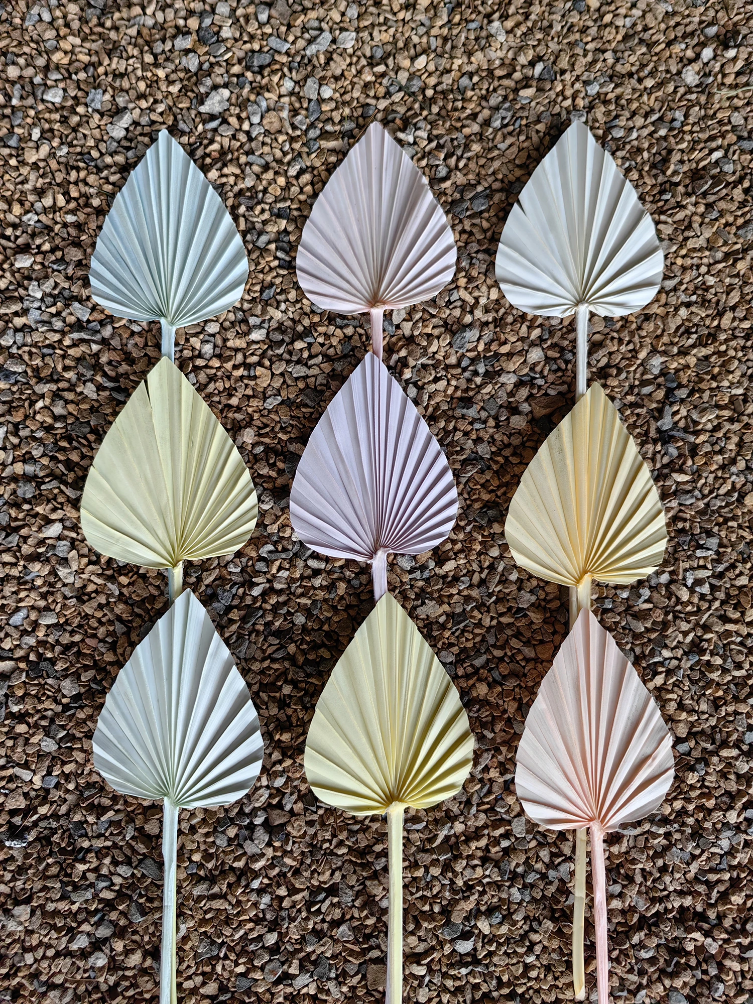 factory wholesale small real heart shaped oval palm spear colored brown blue black dry palm leaf dried palm leaves for decor