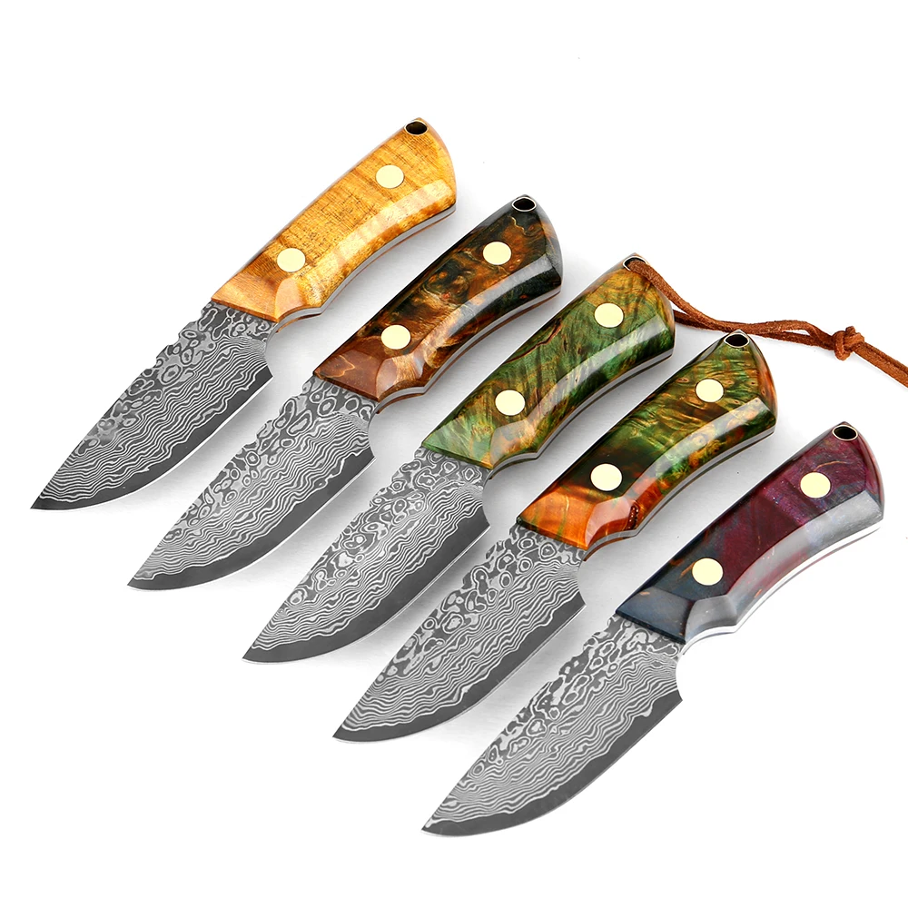 Handmade Damascus Fruit Knife Damascus Steel Blade Hunting Skinning Knife Fixed Blade Camping Survival Knife With Leather Sheath