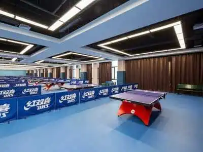 Durable Waterproof MDF Table Tennis Table Premium Outdoor Indoor Sport Equipment