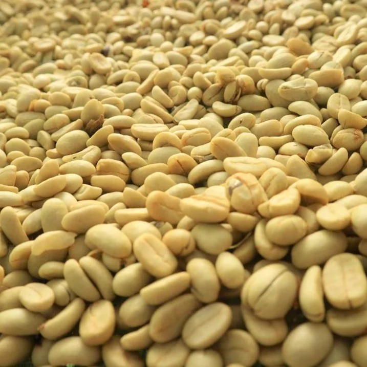 
Wholesale Specialty High Quality Full-Wash Processed Arabica Green Coffee Beans from Vietnam Da Lat 