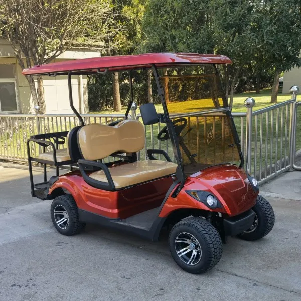 4 wheel 2 seats mini ezgo gasoline golf cart made in China
