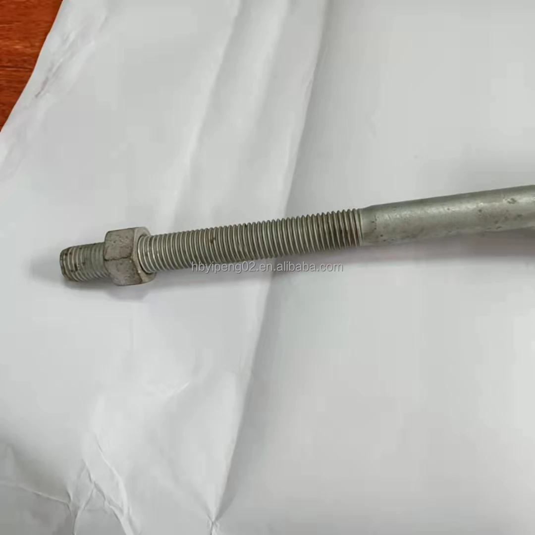 Factory Price Hot Dip Galvanized Anchor Bolt with Nut Hook Bolt Pigtail Bolt