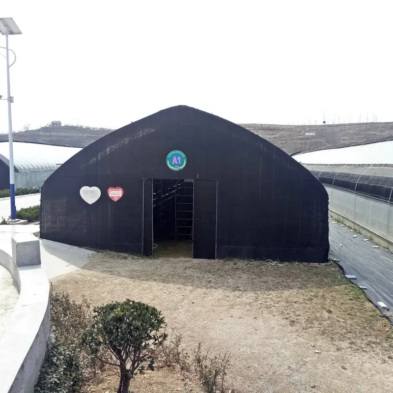 Black Shade Net Covered Film Greenhouse Shed for Mushroom Cultivation