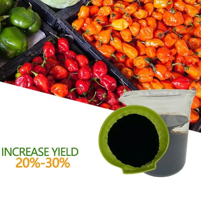 fertilizer manufacturing potassium fertilizer containing humic acid potassium humate 80% powder acid humic