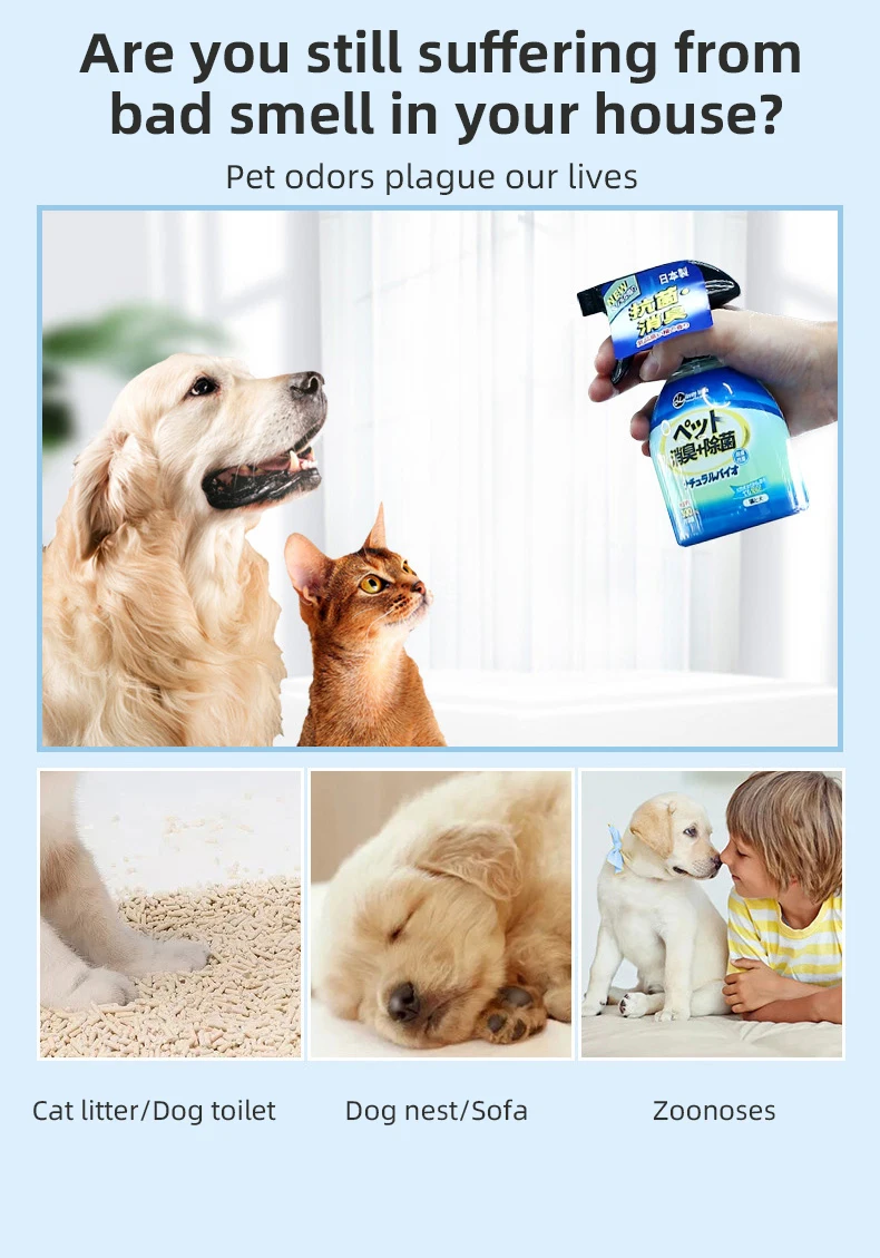 
Morecute Pet Manufacturer deodorant and sterilizing 