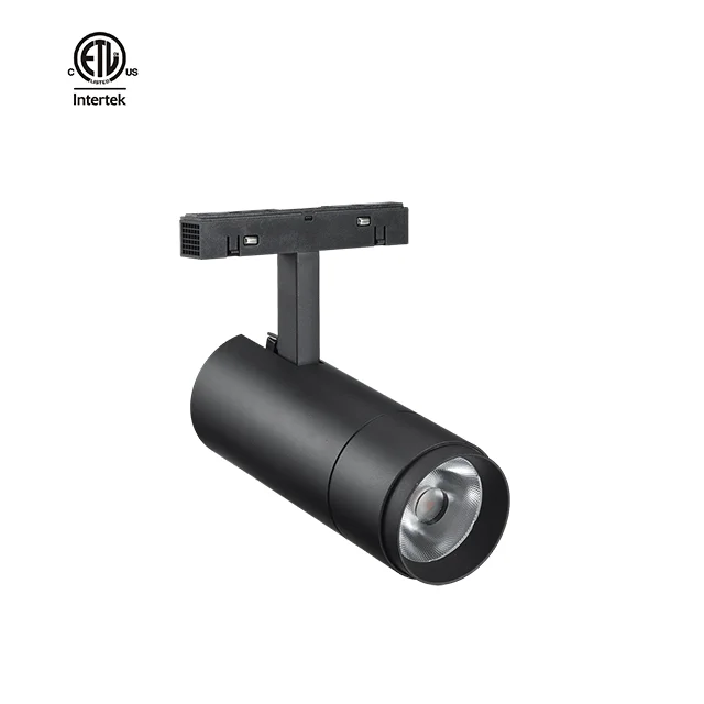 Daytonled Family Leica Zoom ETL cETL 48VDC 6W 12W 15W 20W commercial anti-glare CRI90 magnetic led track light