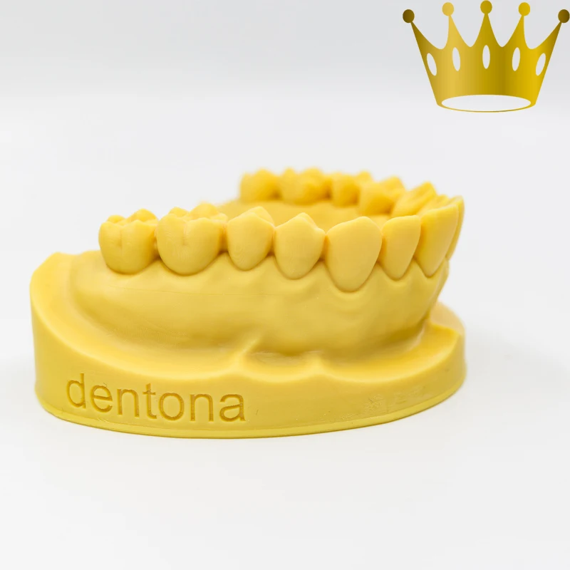 Flashforge Ultra Resolution Hunter DLP High Speed 3D Dental 3D Printer Jewelry sets 3D Printer Printing Machine