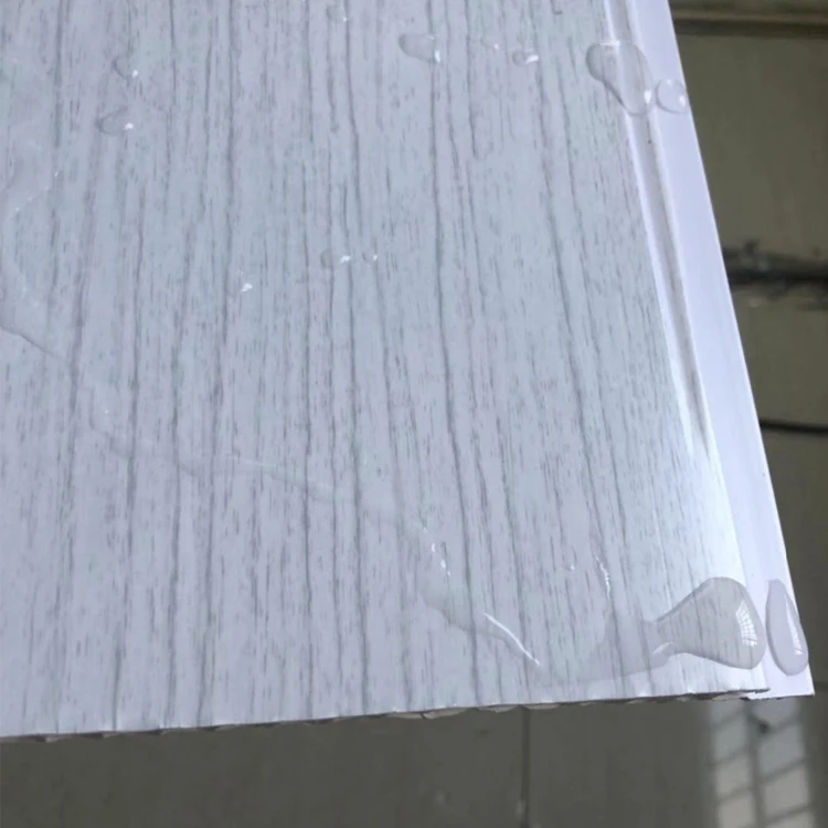 Customized PVC Ceiling Paper PVC Exterior Ceiling Panels PVC Translucent Stretch Ceiling