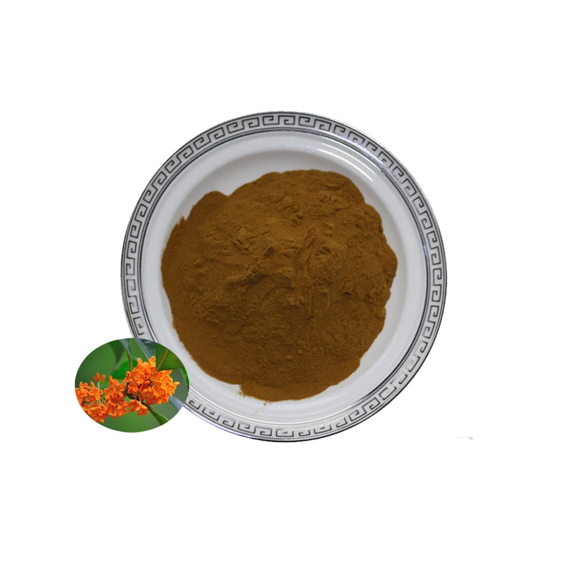 Best quality Osmanthus Flower Extract with fast delivery