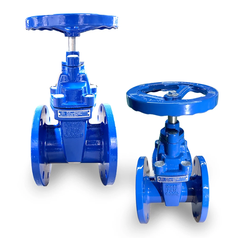 Flange Type ISO CE Certified gate Valve with Di  Body