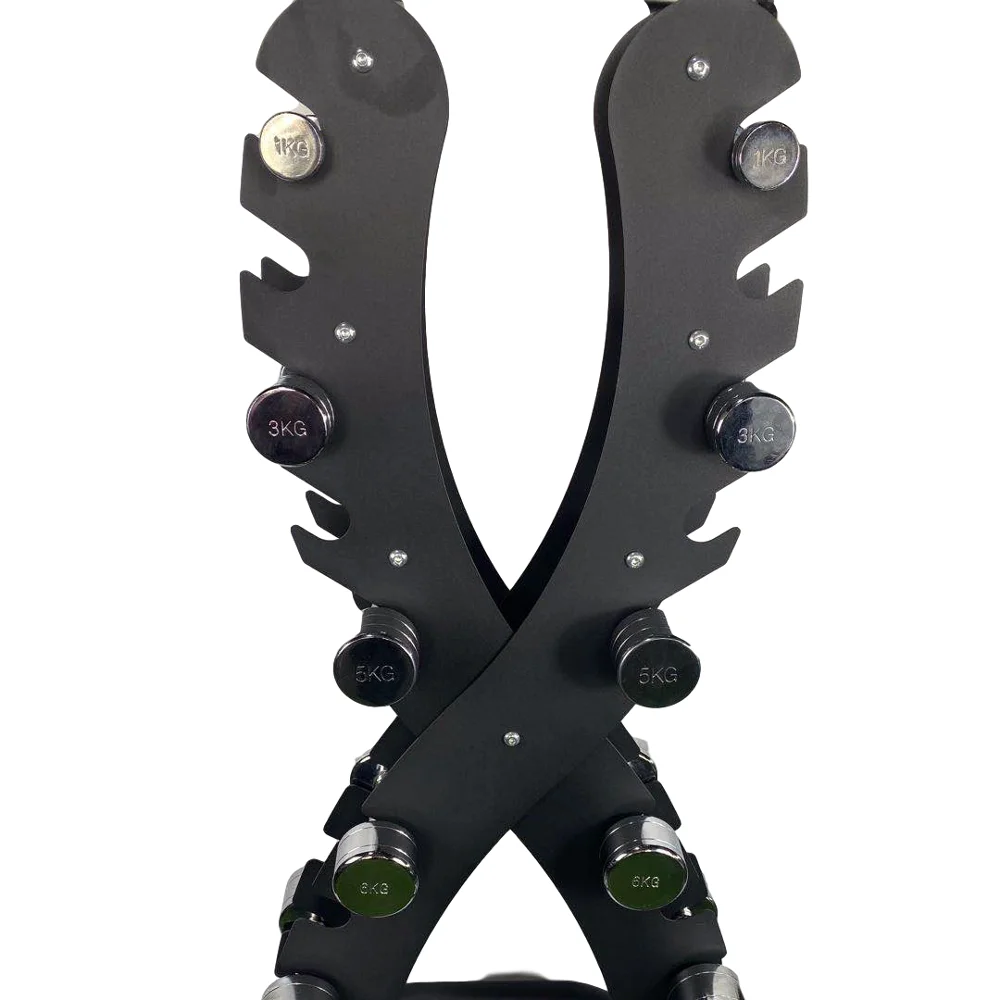 Top quality new design store dumbbell 10 pairs with X type electroplate dumbbell set with racks