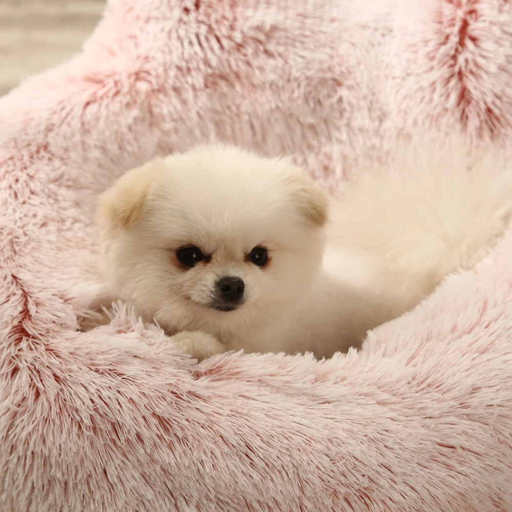 Manufacturer wholesale custom logo pet supplier plush dog cat bed with ear