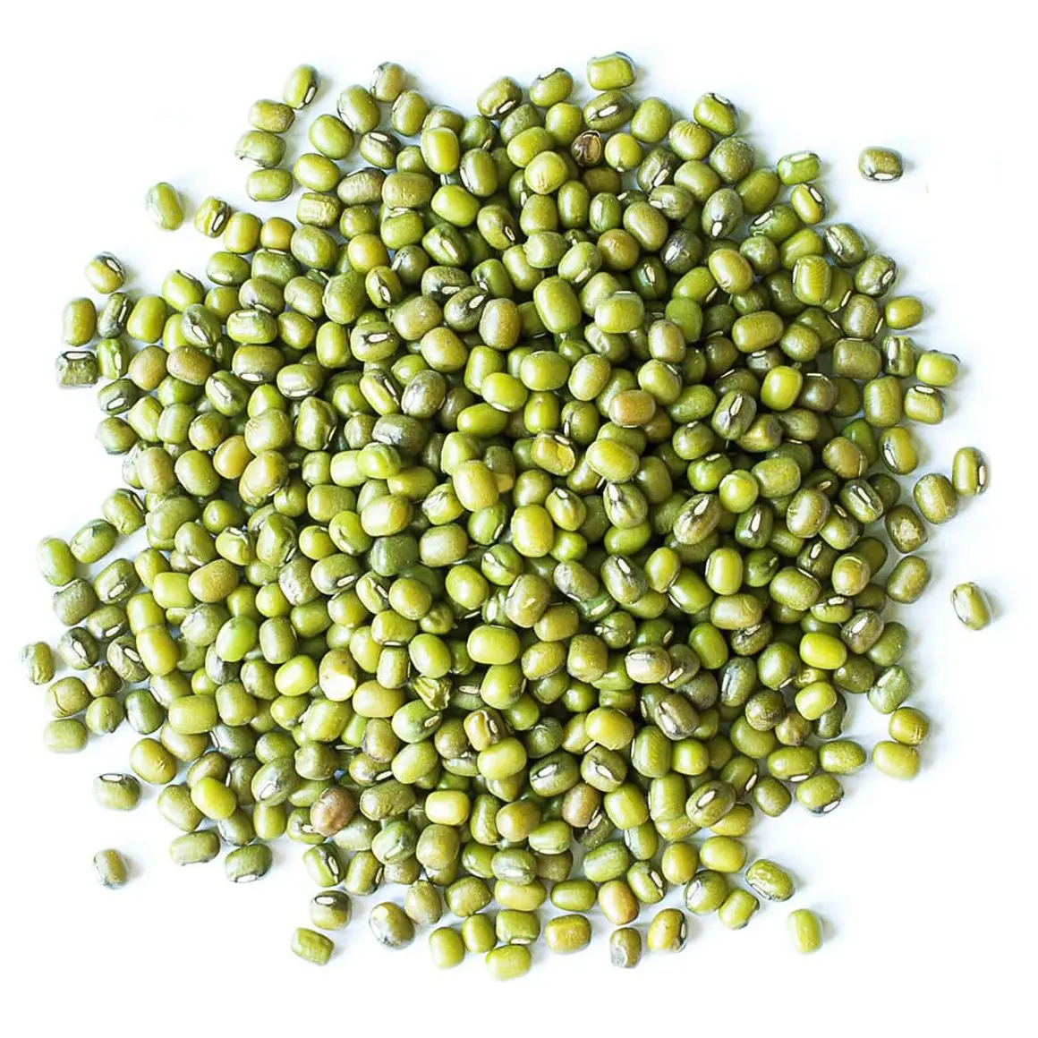 Vietnam Organic green mung beans 100% natural high grade vigna beans for sprouting