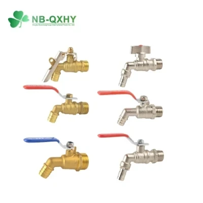China Custom Brass Stainless Steel Garden/Bathroom Tap Faucet