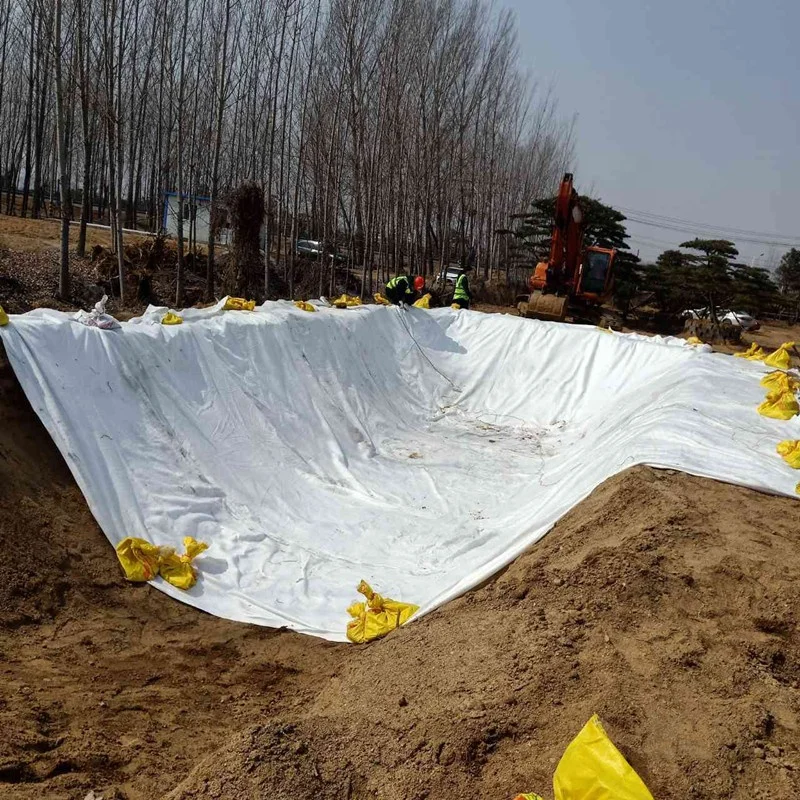 200g 300g m2 Drainage Reinforcement PP Non Woven Geotextile Fabric Manufacturer