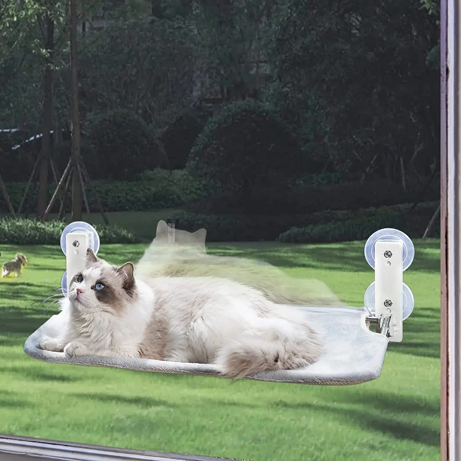 Wholesale Cat Window Perch Hammock Bed Seat with Suction Cups Space Saving Wall Mounted Pets Cat Hammock