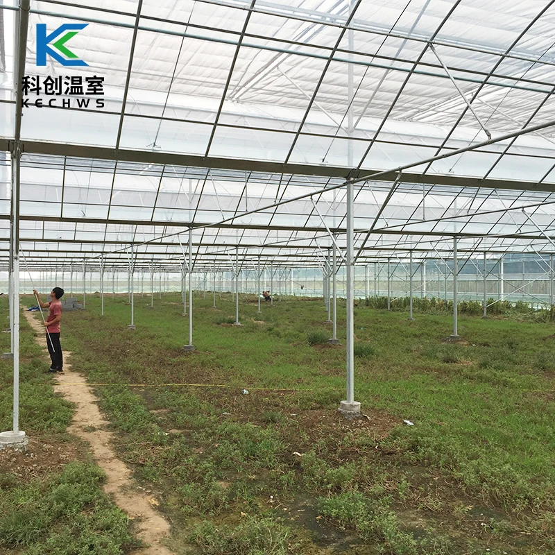 
2021 Hot Selling Farming Vegetables Multi-Span Film Commercial Green House 