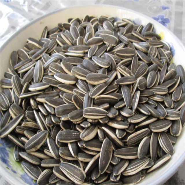 Wholesale Raw Chinese 2021 Hot Sale Natural Organic Sunflower Seeds for Bulk Buyers