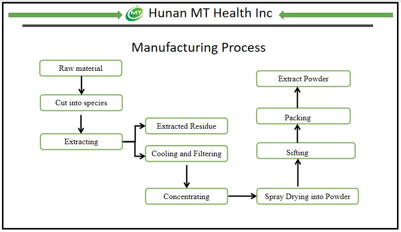 Process MT Health .png