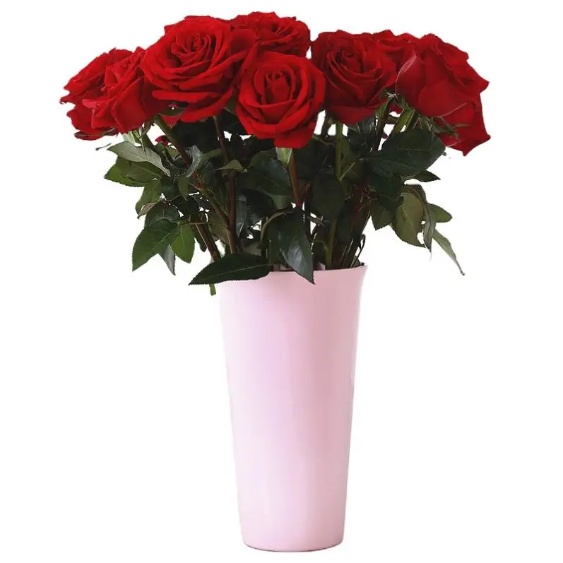 Simple European-style Solid Color Vase Fresh Flowers Plastic Hydroponic Vase Desk Decoration Vase