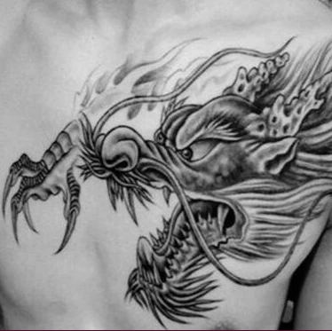 weimei Fast delivery Sexy colours Flower Dragon painted cartoon tattoo print back arm floral pattern temporary tattoo sticker