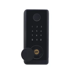 Wifi biometric keyless touch keyboard waterproof design costom deadbolt lock glass outdoor nfc smart lock