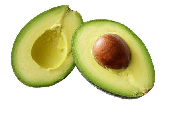 Лидер продаж-свежий авокадо высокого качества высокого стандарта для экспорта из Вьетнама