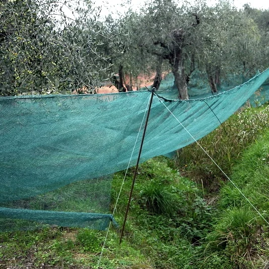 The original fruit collector netting olive harvest nets for sale new original green with Agricultural