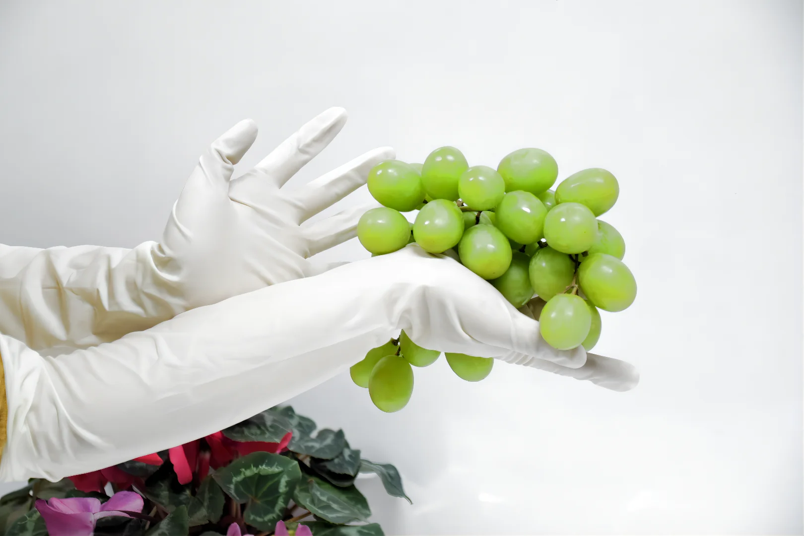 High Quality Professional long Sleeve Latex Gynecological glove
