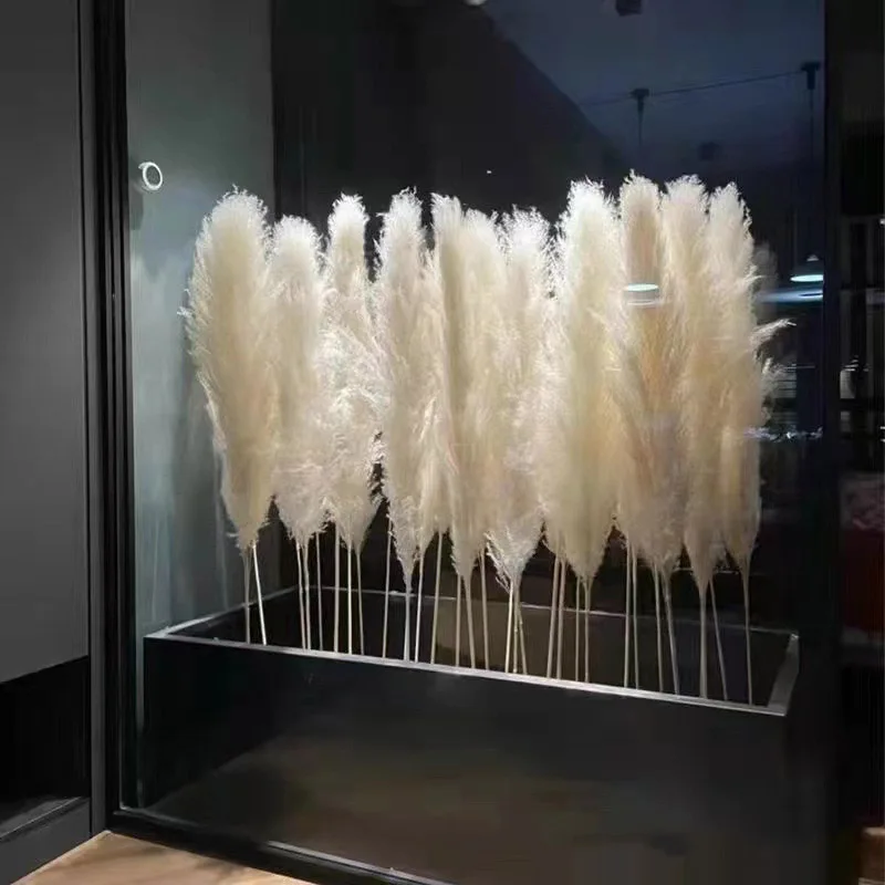 100% Natural Plants Wholesale Bulk Dried Flowers Natural Pink Pampas Grass For Wedding Decoration