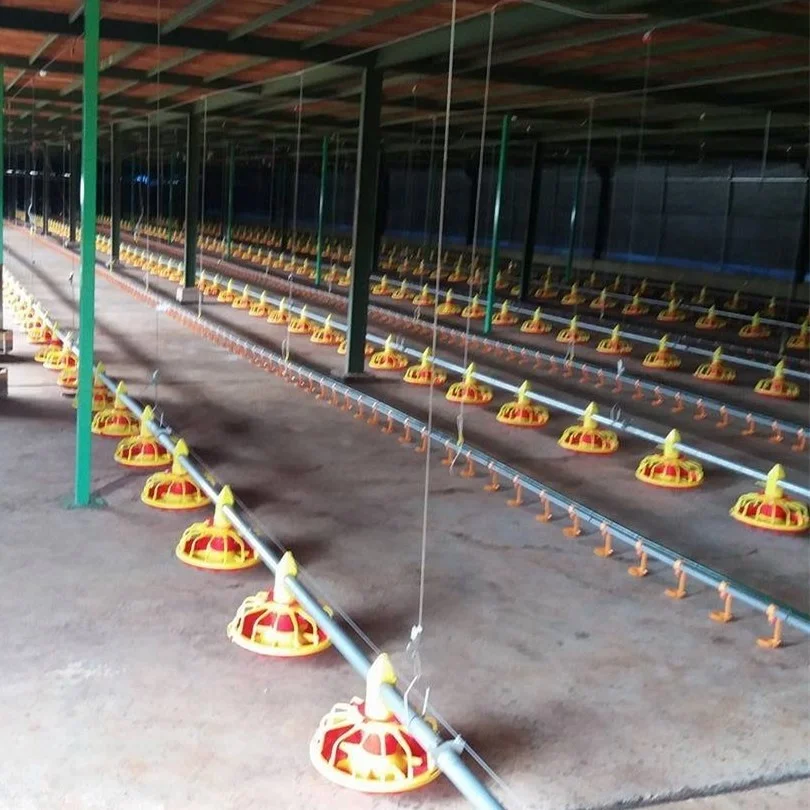 Автоматический открывающийся дом для птицы напольная система подачи корма Курятников