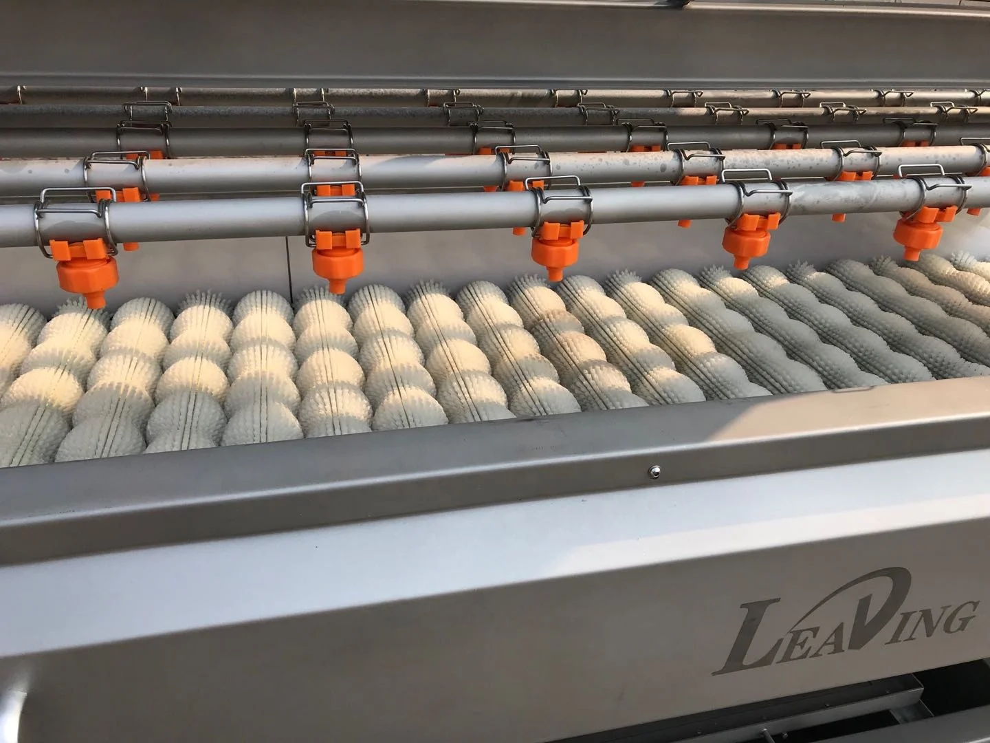 Brush Mango Grape Watermelon Peach Cleaning Date Washing and Drying Machine