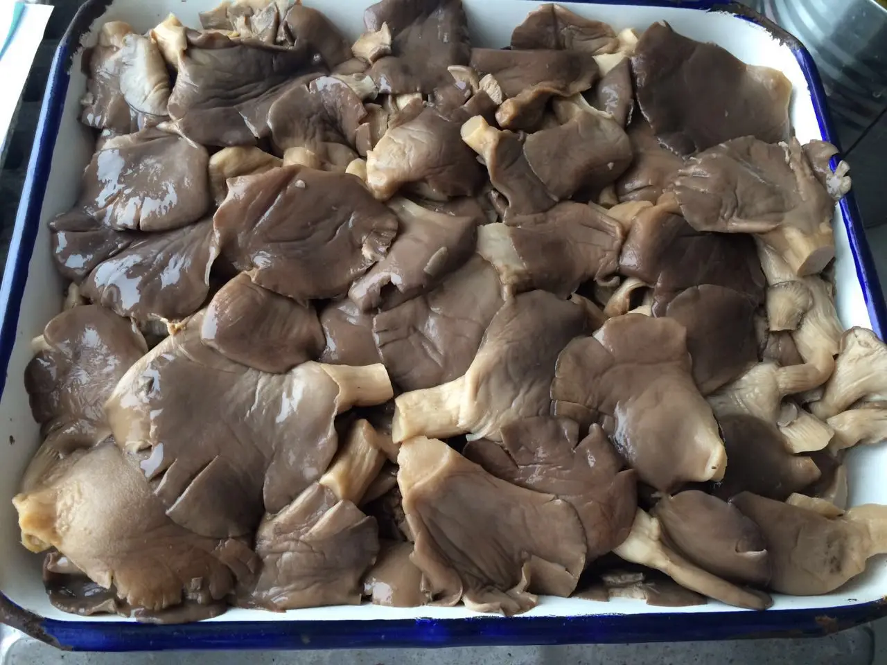Консервированный серый