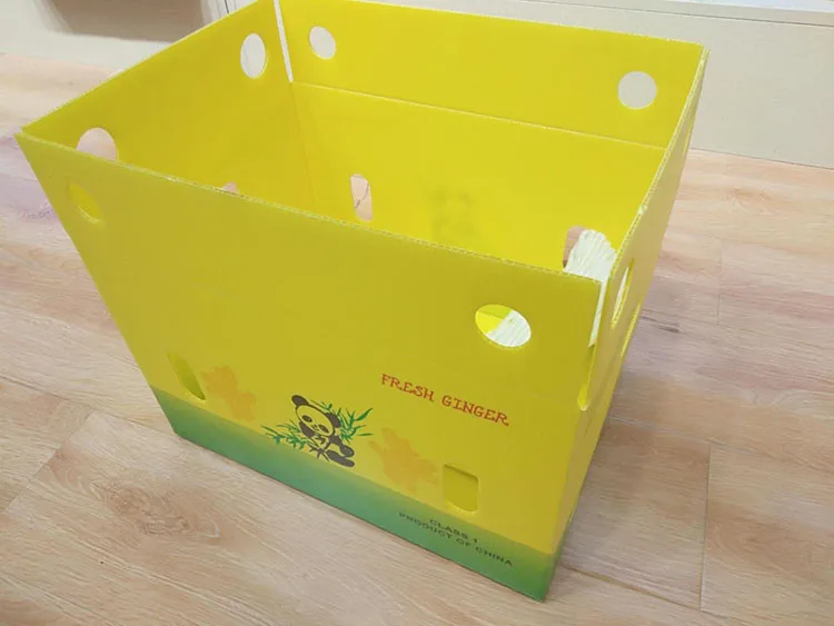 Ginger Box Ginger Plastic Box Fresh Ginger Plastic Packaging Box