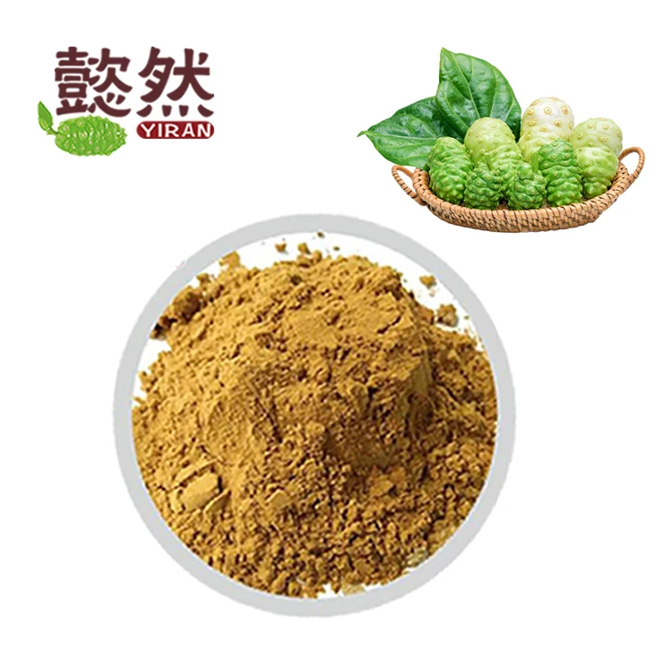 China manufacturer wholesale price immunity products Noni fruit flavor juice extract enzyme powder