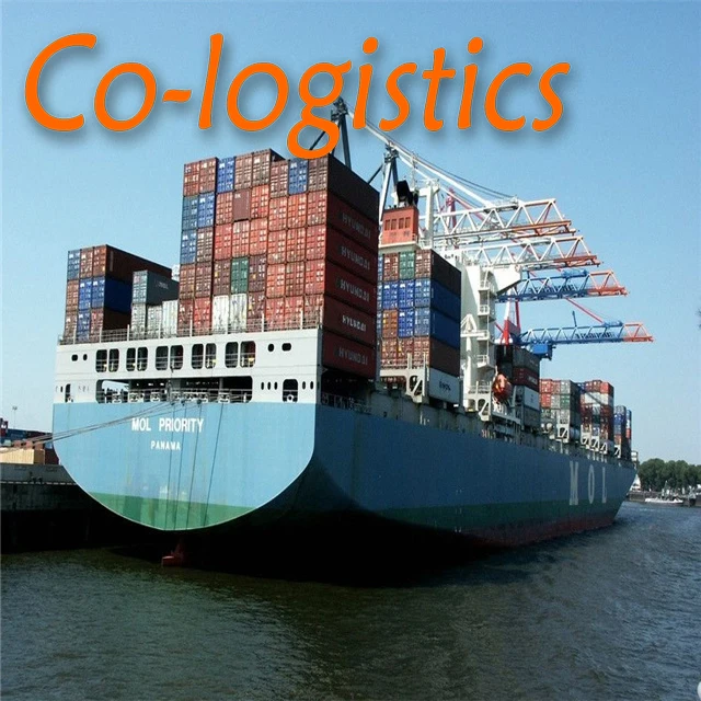 UAE   by sea shipping door to door shipping agent in guangzhou  shipping agent to sea freight forwarding service