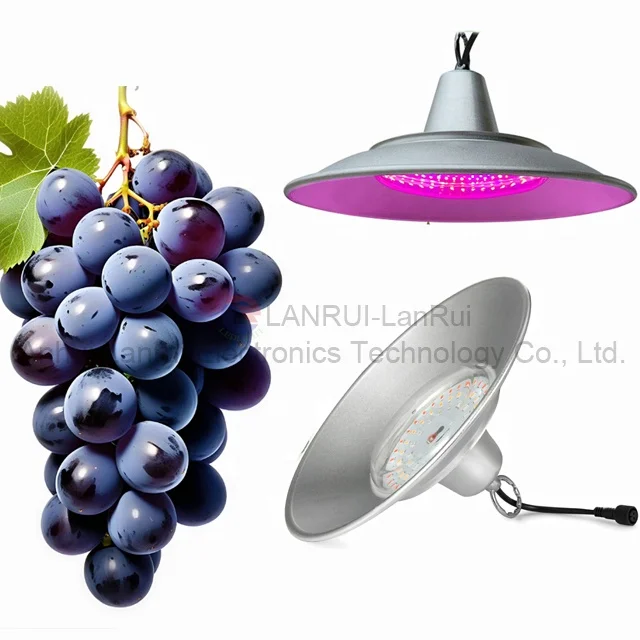 Wholesale  Full Spectrum   led grow light  Grape fill  Tomato  fruit  vegetable  Flowers and plants
