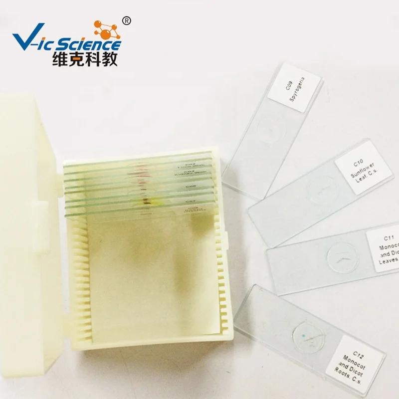 
Safety biology glass slides plastic boxes from 100% factory 