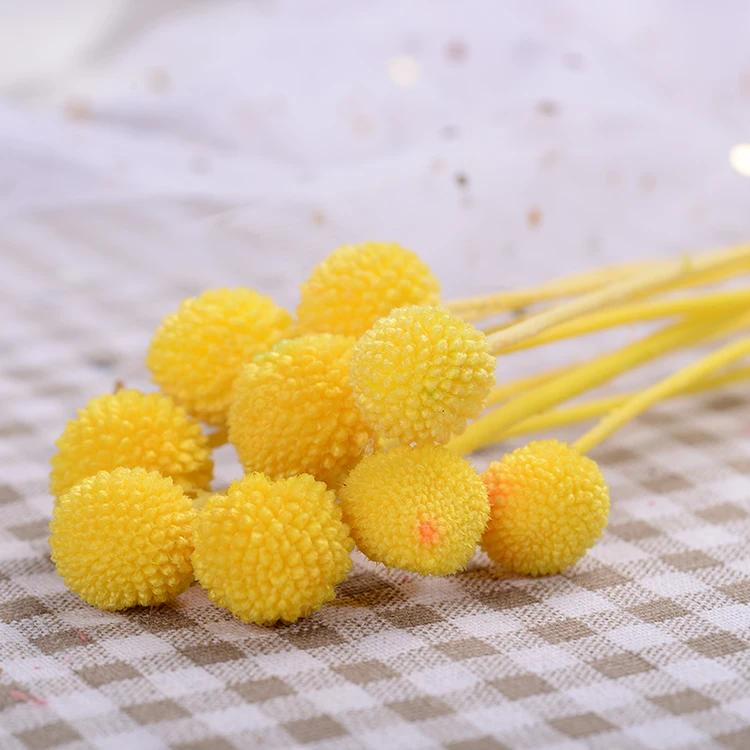 Top Selling Decorative Flowers Billy Balls Wreaths Christmas Indoor Decoration Dried Craspedia