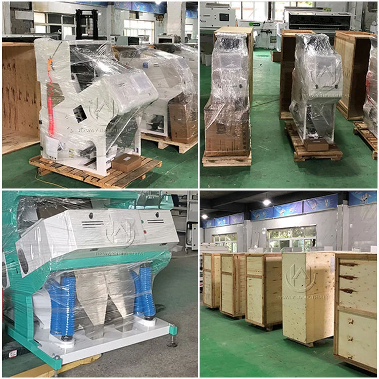 50-1500kg/h rice colour sorting machine color sorter mayer lentil color sorting machine sunflower seeds color sorting machine